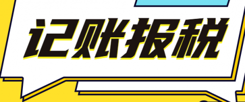 软件成本价 做简单公司报税